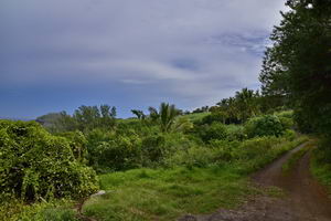 La nature réunionnaise à deux pas gite partenaire aikido Ile Réunion 974