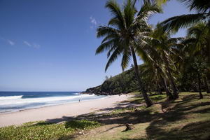 Plage et vacances gite partenaire aikido Ile Réunion 974