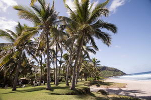 Photos paysage gite partenaire aikido Ile Réunion 974