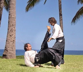 Dojo aïkido 974 Saint Pierre à la Réunion